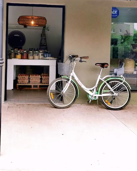 Entrada del local con frascos, huevos de granja y una bicicleta en la puerta